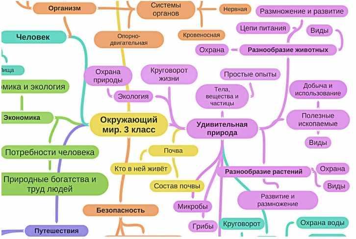 Интеллект карта по русскому языку 5 класс