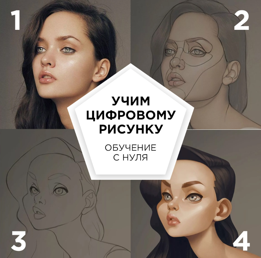 Основы цифрового рисунка курсы