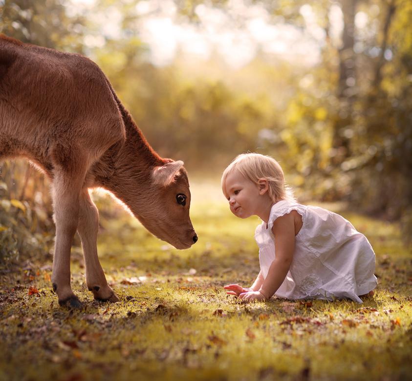 https://kursosliv.com/wp-content/uploads/2021/11/videourok-po-obrabotke-1702-english-elena-shumilova_6190146320714.jpeg